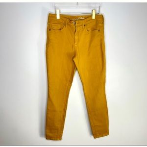 StretchyJeans Mustard color plus size 24W